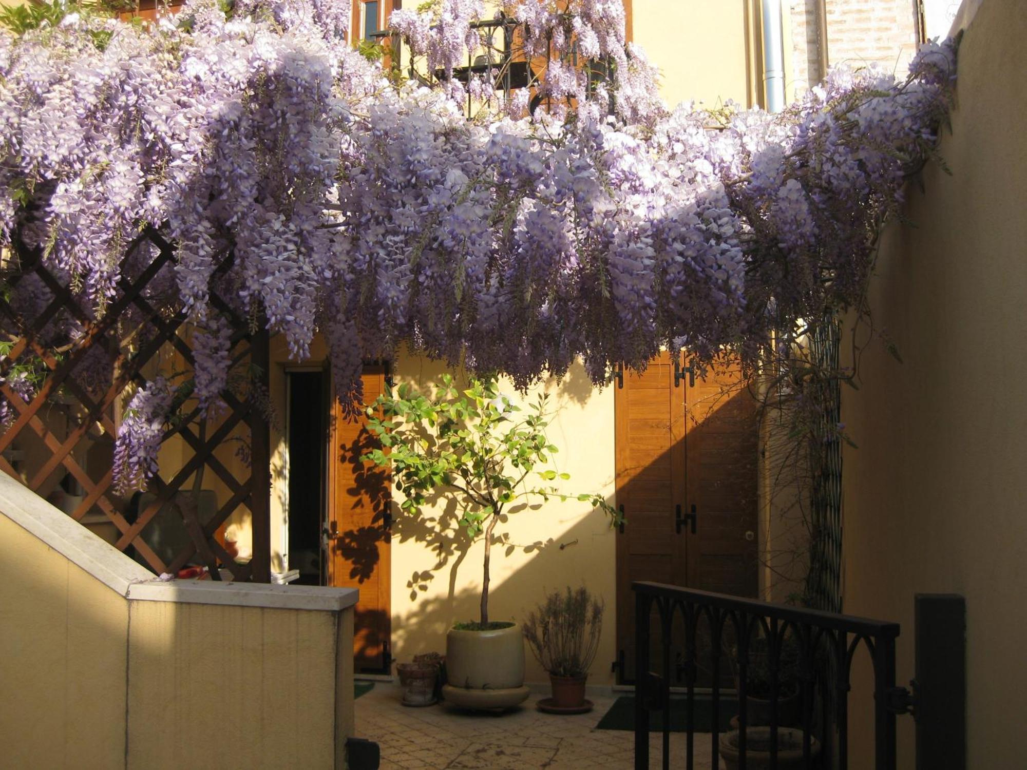 Lo Squero Rooms And Apartments Fano Exterior foto